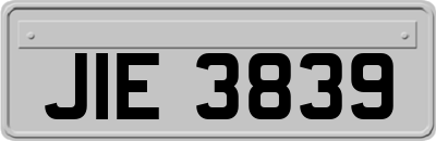 JIE3839