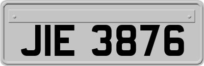 JIE3876