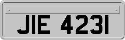 JIE4231