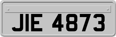 JIE4873