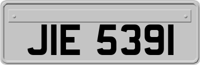 JIE5391