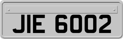 JIE6002