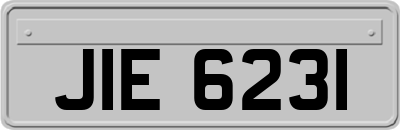 JIE6231