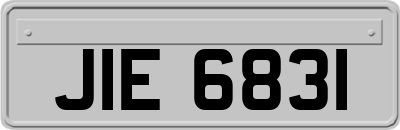 JIE6831