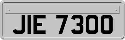 JIE7300