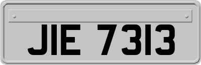 JIE7313