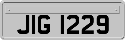 JIG1229
