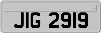 JIG2919