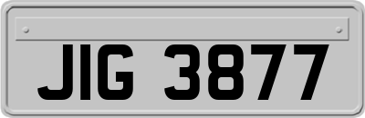 JIG3877
