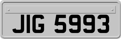 JIG5993