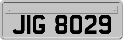 JIG8029