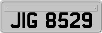 JIG8529