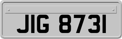 JIG8731