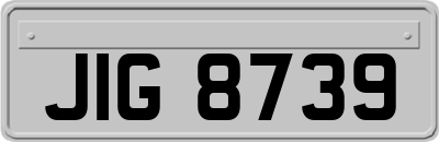 JIG8739