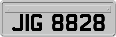 JIG8828