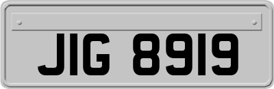 JIG8919