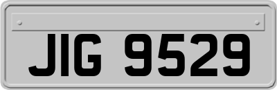 JIG9529