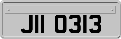 JII0313