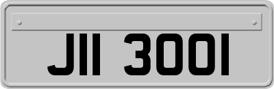 JII3001
