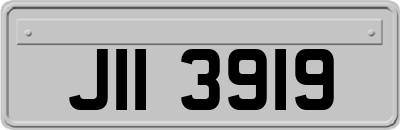 JII3919
