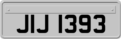 JIJ1393