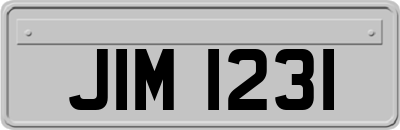 JIM1231