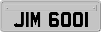 JIM6001