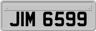 JIM6599