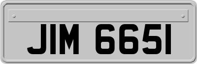 JIM6651