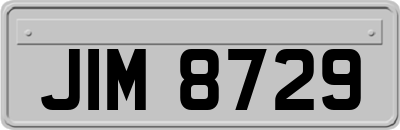 JIM8729