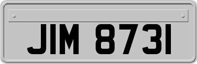 JIM8731