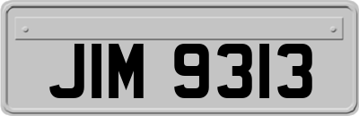 JIM9313