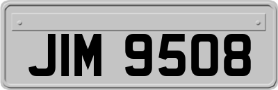 JIM9508