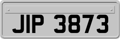 JIP3873