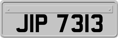 JIP7313