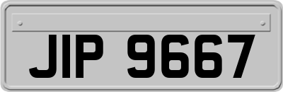 JIP9667