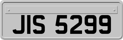 JIS5299