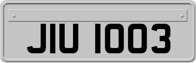 JIU1003