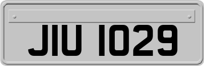 JIU1029
