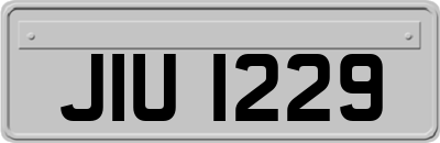 JIU1229
