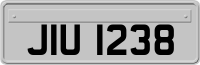 JIU1238