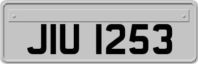 JIU1253