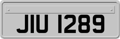 JIU1289