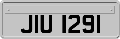 JIU1291