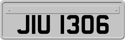 JIU1306