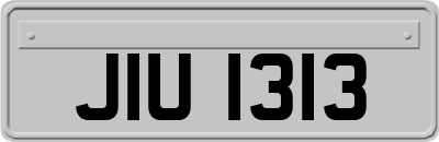 JIU1313