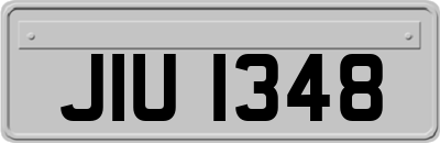 JIU1348