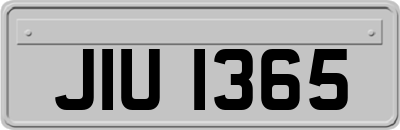 JIU1365