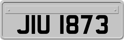 JIU1873
