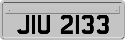 JIU2133